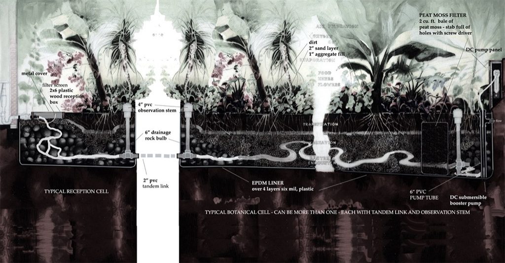 wastewater treatment greywater planter
