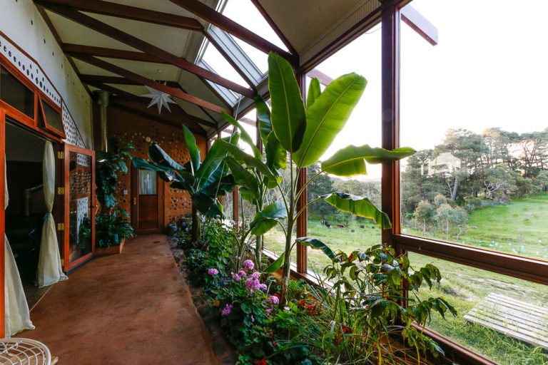 Earthship greenhouse corridor with tropical plants and sloped glazing