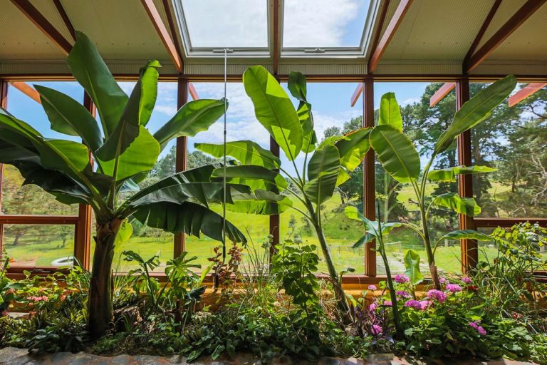 Off-grid Biotecture home with a glazed south face