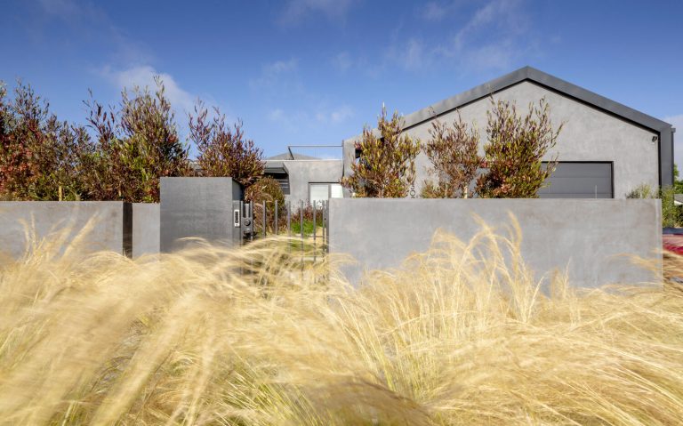 Morningside Remodel street view behind native grasses and a low plaster wall