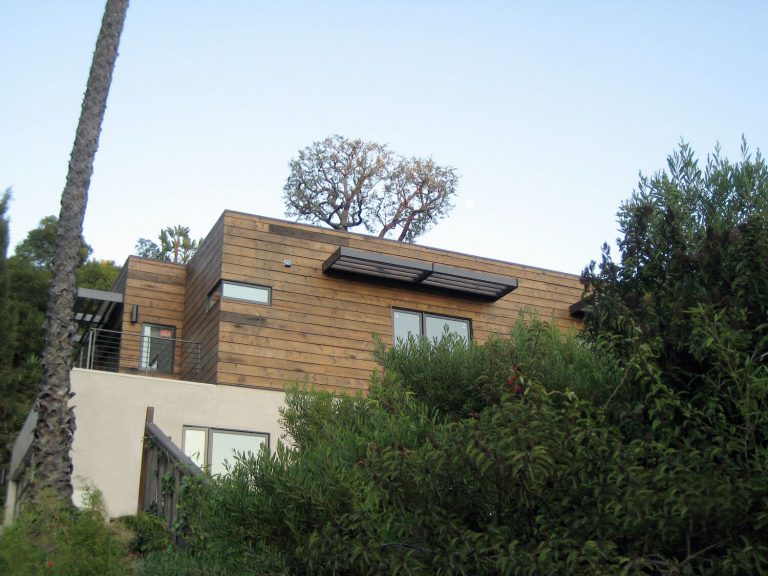 Wood-paneled upper level of the Bayliss Remodel seen from below through trees