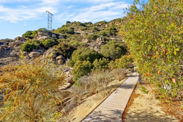 Boardwalk path through native chaparral on the West Hills property