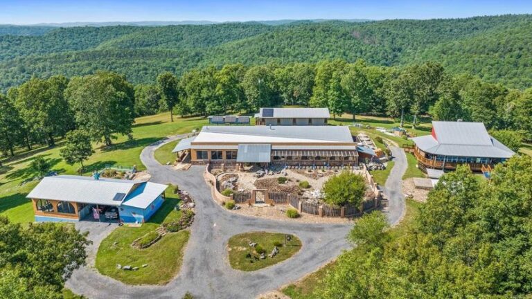 Interior of an Arkansas Biotecture home